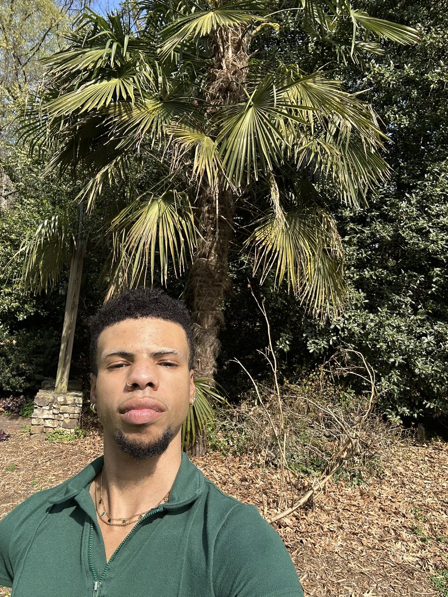 🔅 (@unifarde) / Posts / X