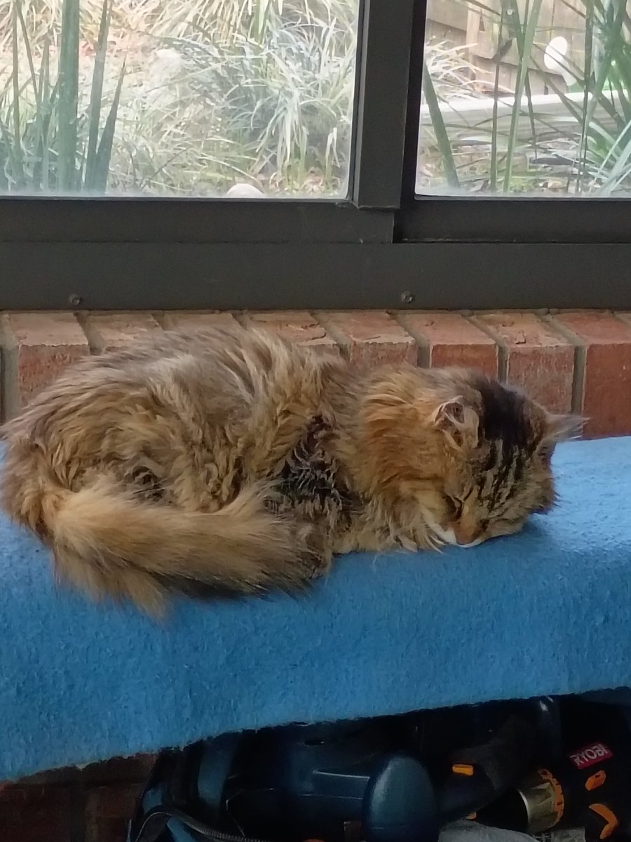 Marc C Wichman tweet media