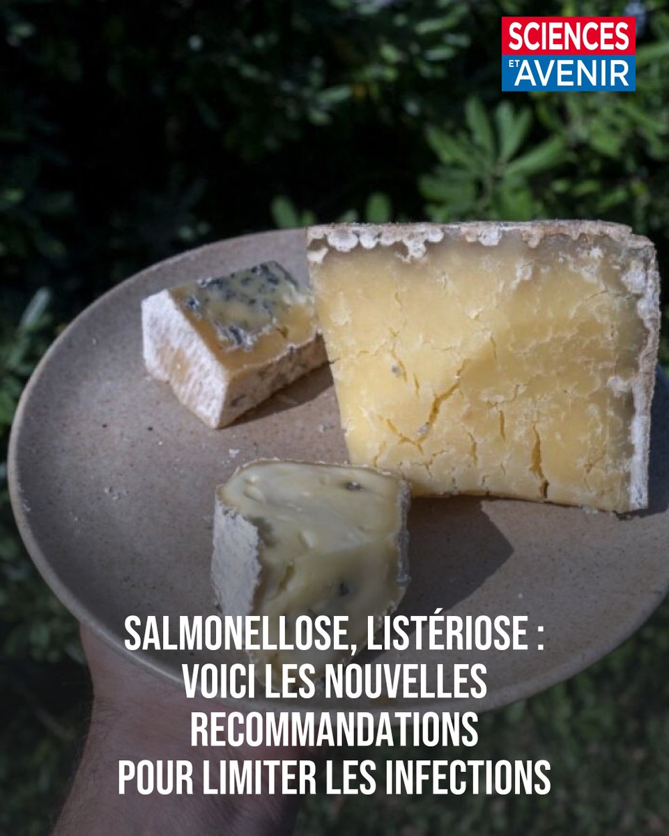 En France, chaque année, entre 10.000 et 16.000 personnes souffrent d'une toxi-infection alimentaire 
👉 l.sciencesetavenir.fr/Uo2