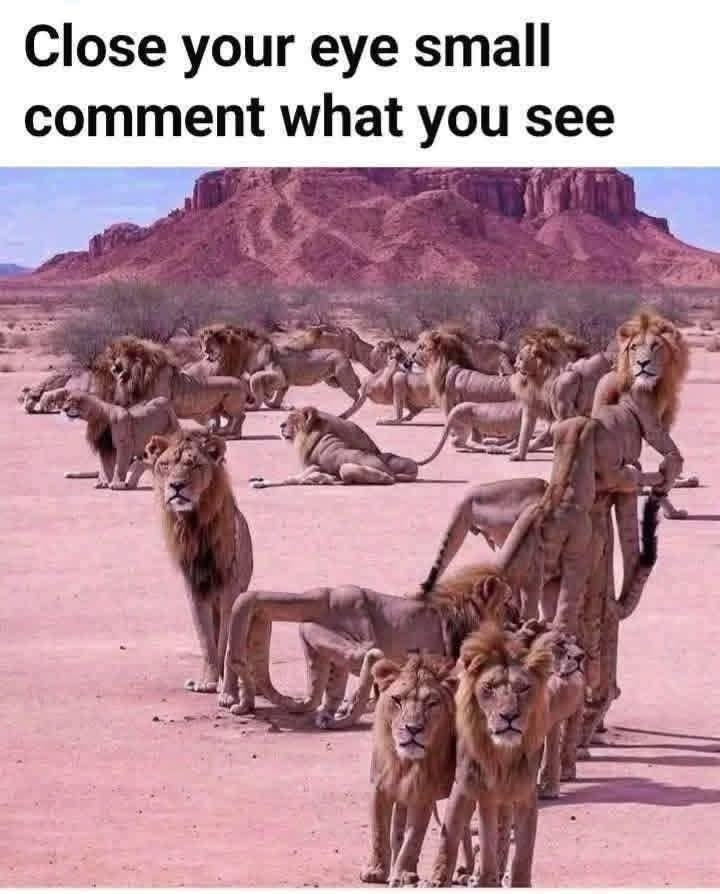 Eman (@eman5695) on Twitter photo 