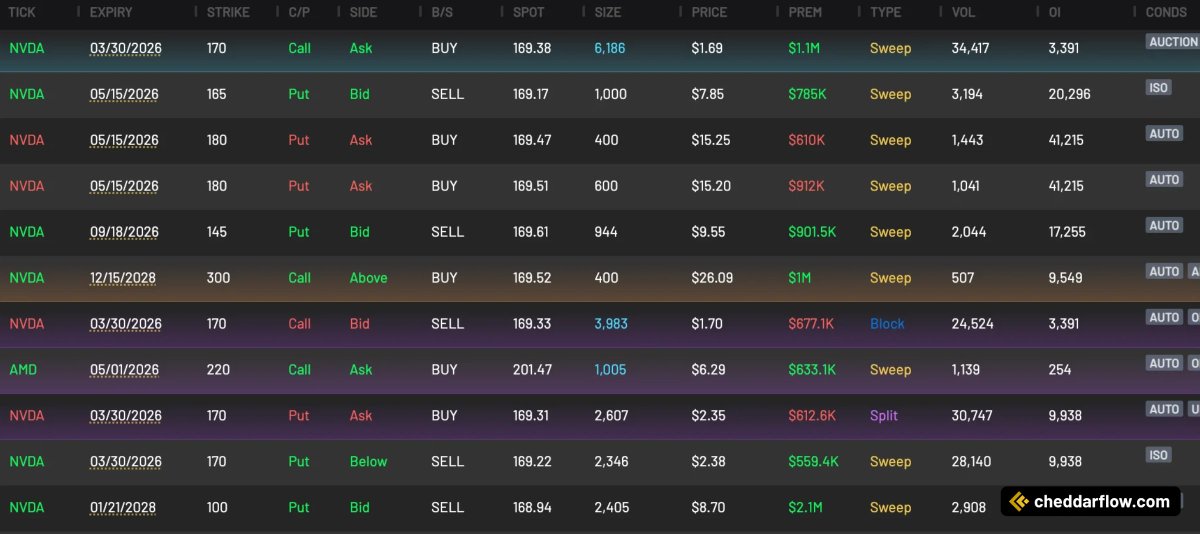 CheddarFlow's tweet photo. Bulls are slowly starting to show up in semiconductors $NVDA $AMD https://t.co/MaIwW9xomv