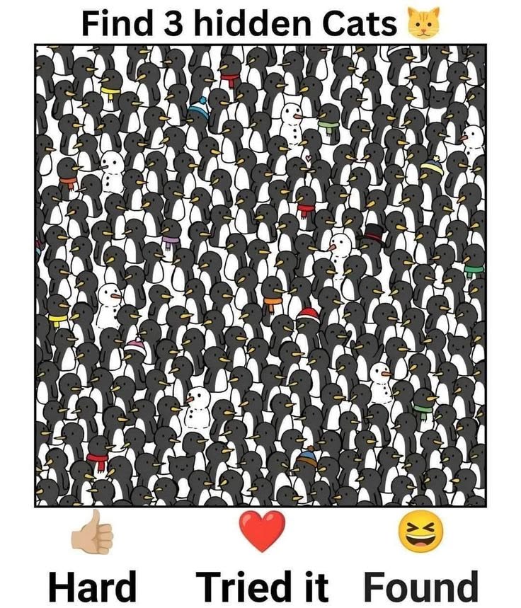 Eman (@eman5695) on Twitter photo 