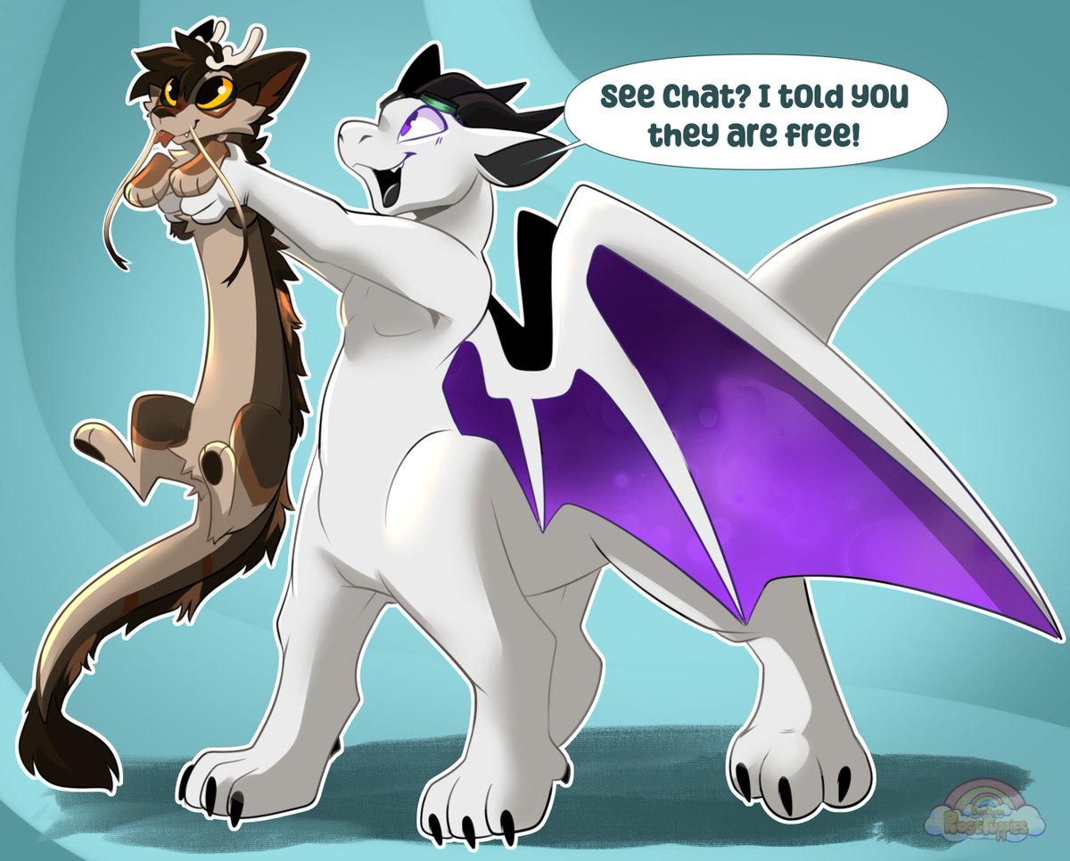 Bear! 💕 tweet media