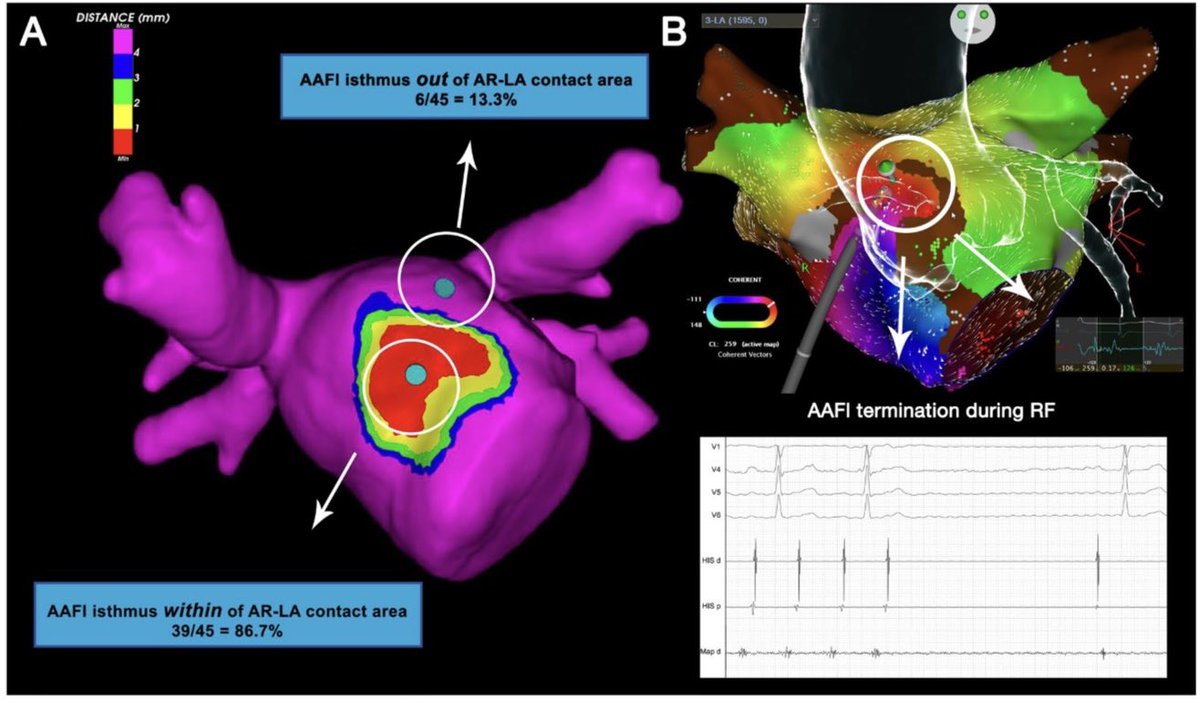 José Alderete M tweet media