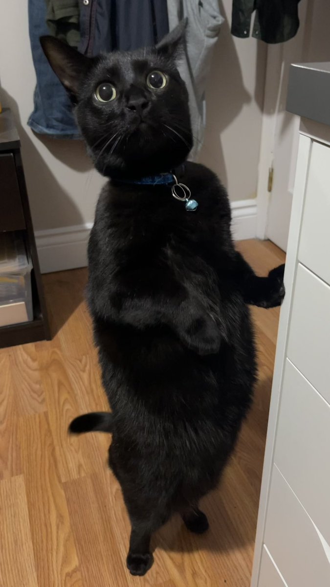 Sock’s father tweet media