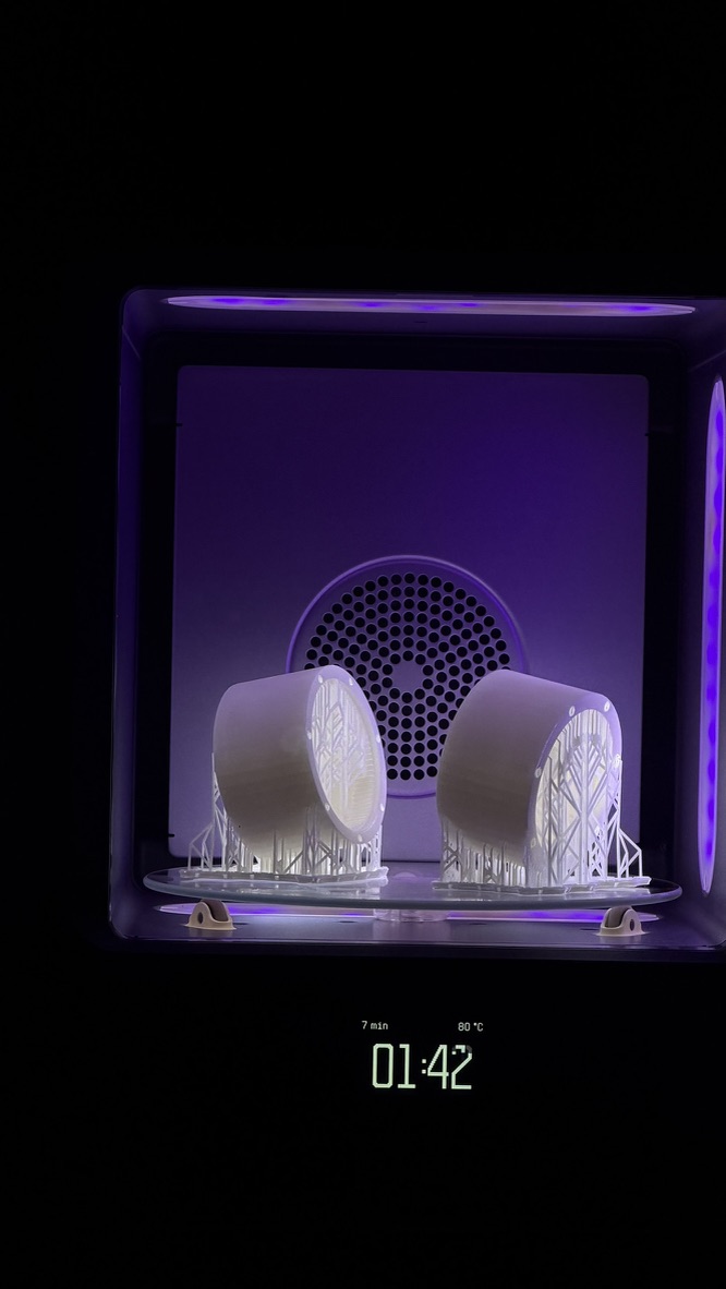 Phoenix𝕏 tweet media