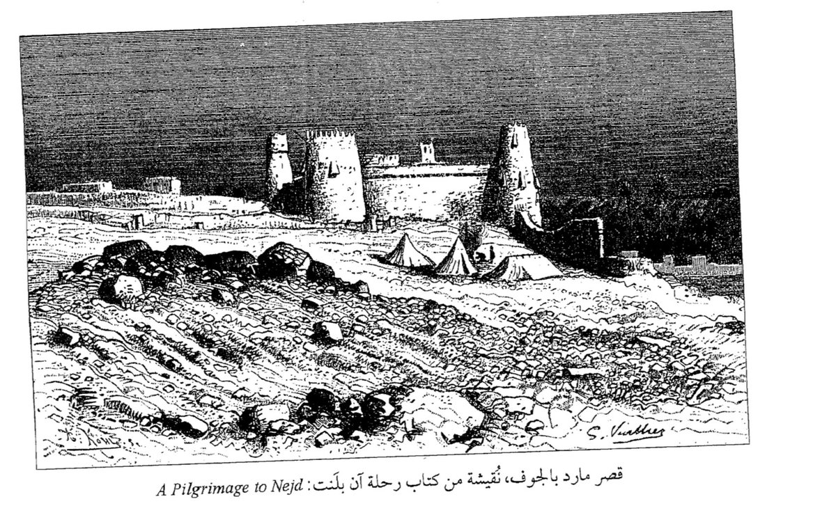 سنام tweet media