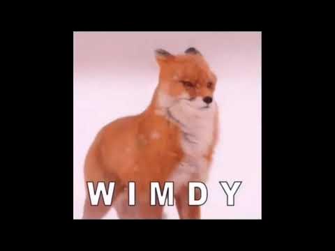 Miki Trillane tweet media