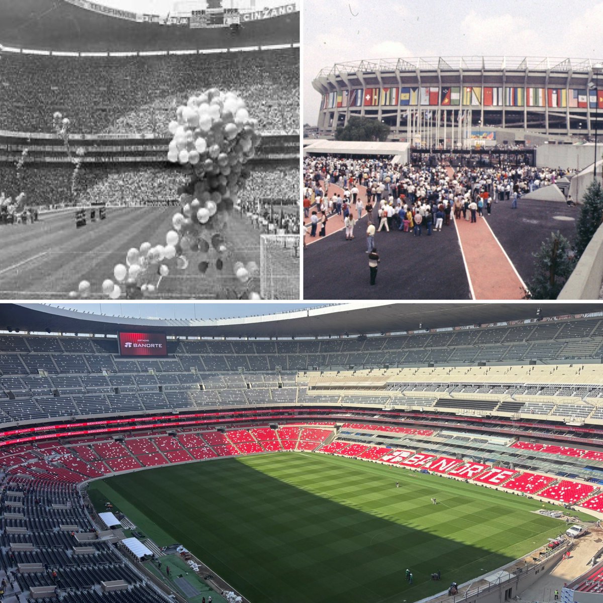 Raúl Orvañanos tweet media