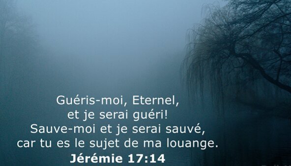 MenteCorpore34's tweet photo. @reynouard1969 @insoumix2 En vous souhaitant un bon Vendredi de #LaPassion ✝️ Ayez pitié de moi Seigneur 🛐 #MiseréreDómine
#Épître Jérémie XVVII, 13-18. #Évangile Jean XI, 37-54.
Les 7 Douleurs de Notre Dame.
https://t.co/b0BC1ti0Bk
#Lysardents #semperidem #pourLeSalutdesÂmes https://t.co/Uasj4xIDZZ