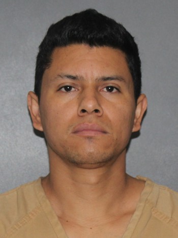 Illegal Alien Crimes tweet media