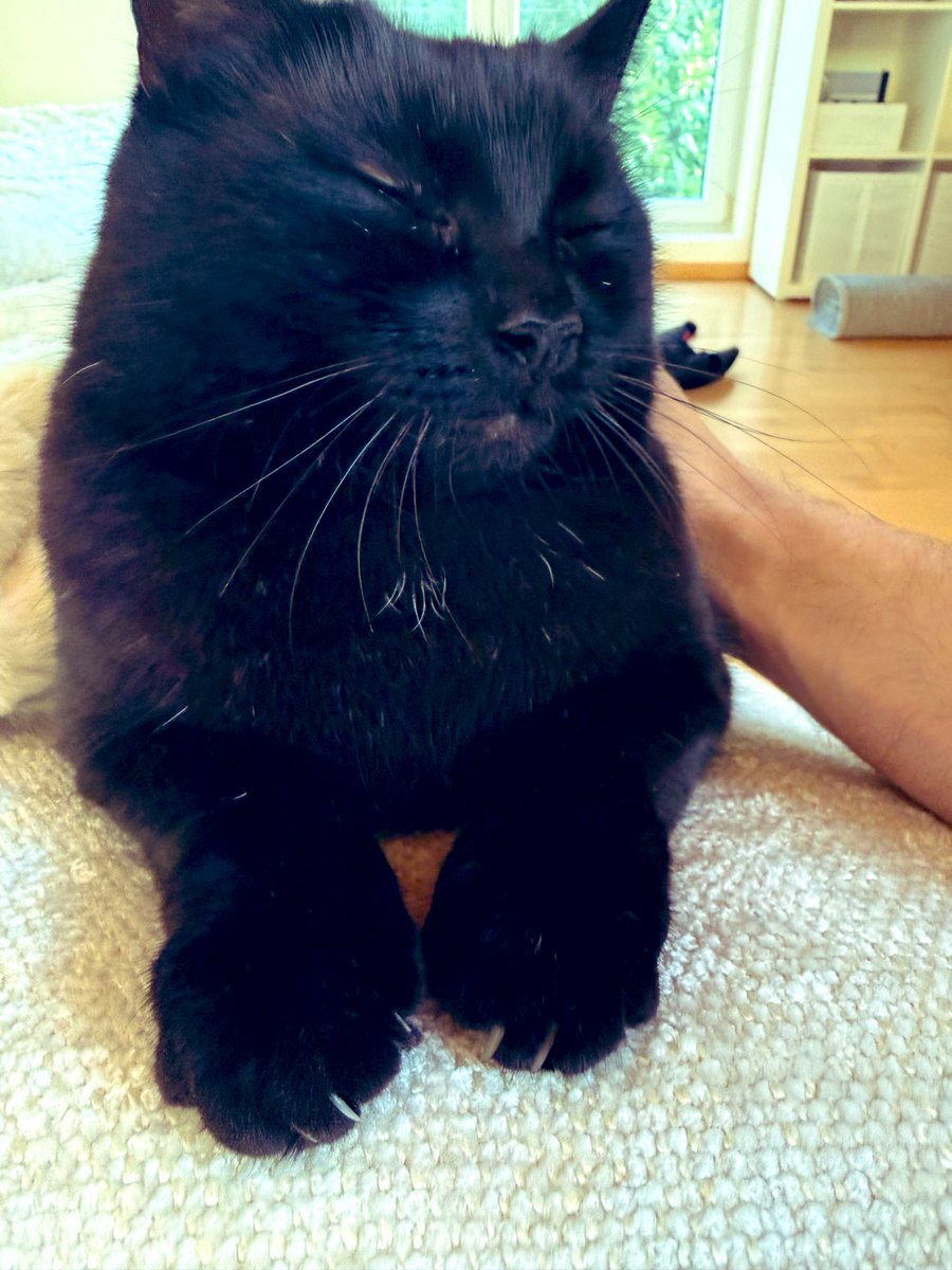 CrimeCycle tweet media