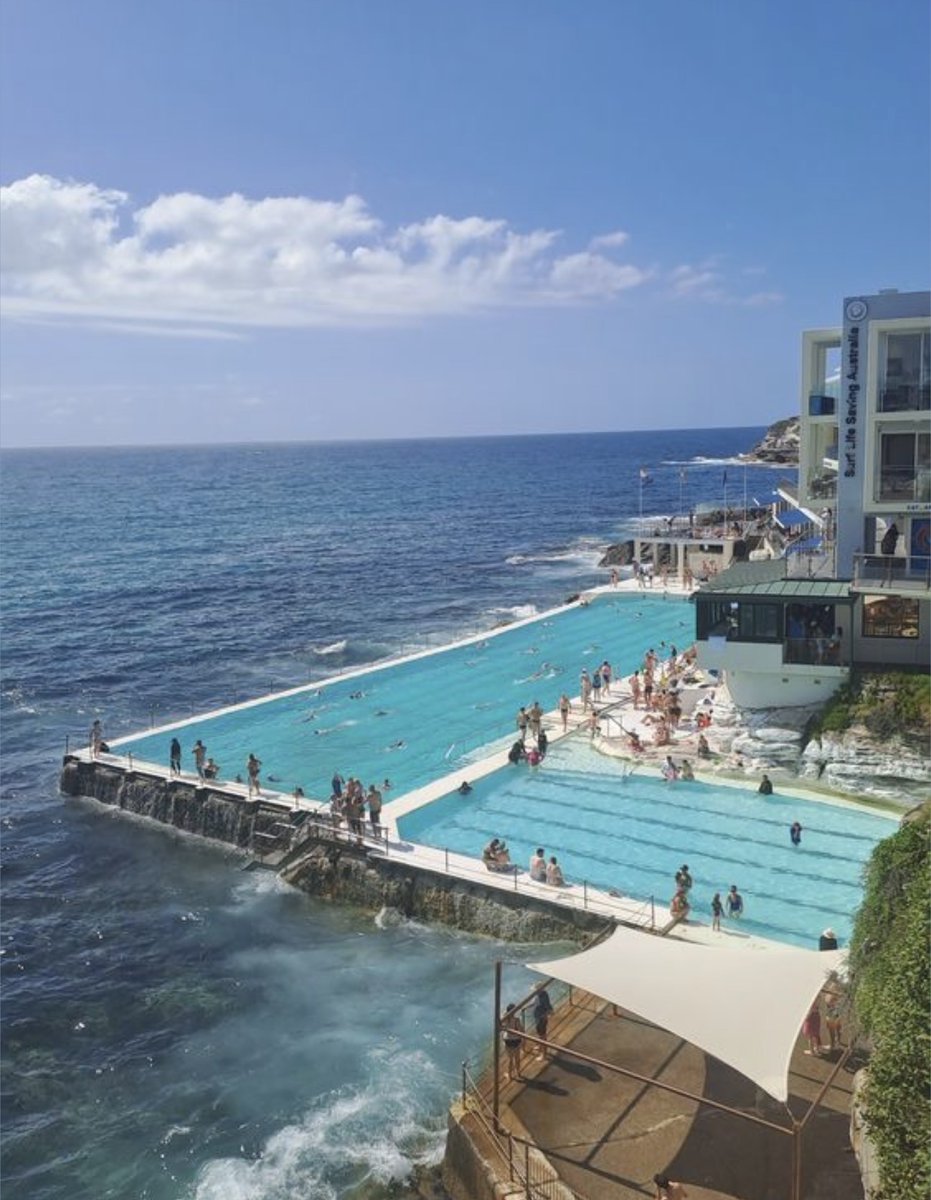 WORLD 2026 🌊 tweet media