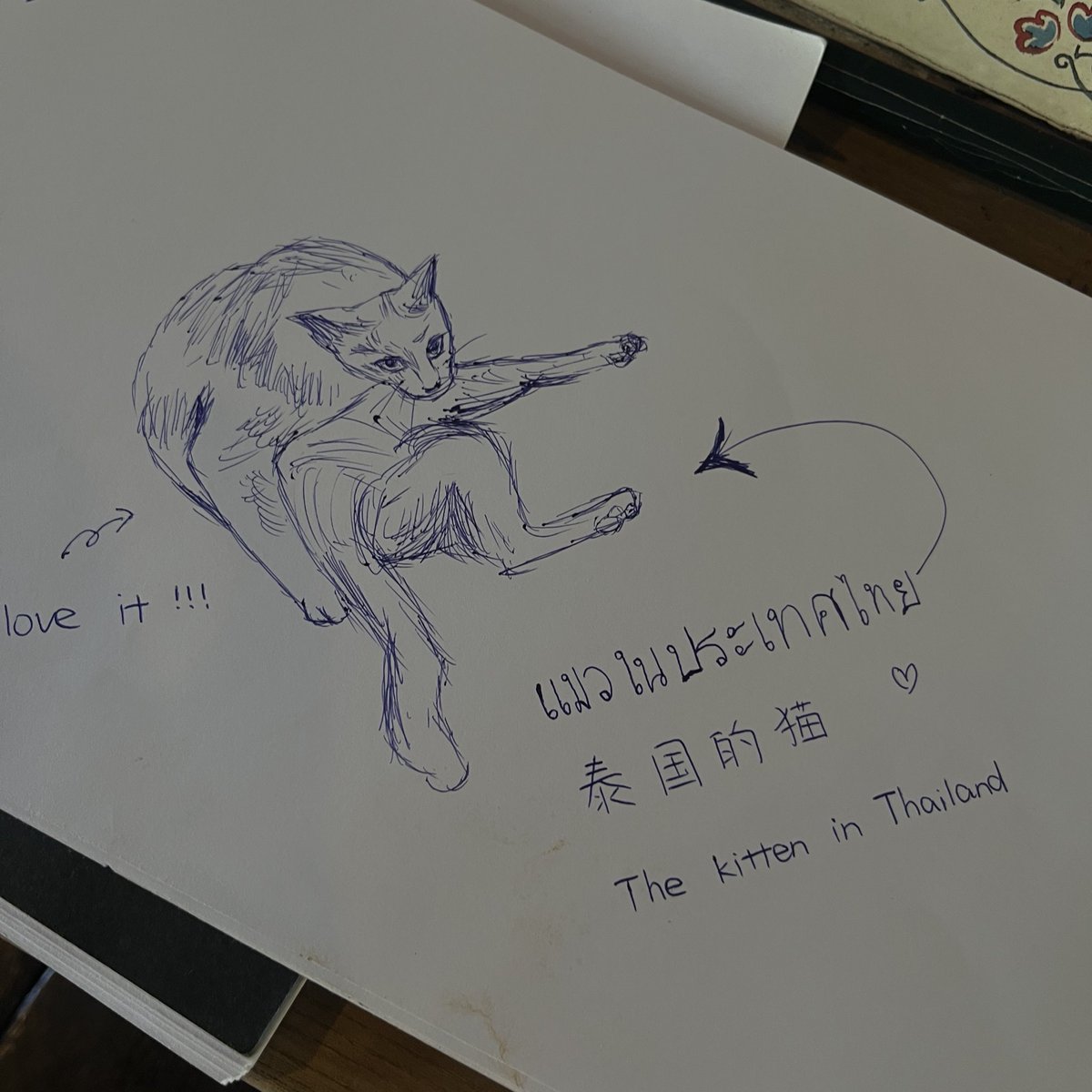 jia tweet media