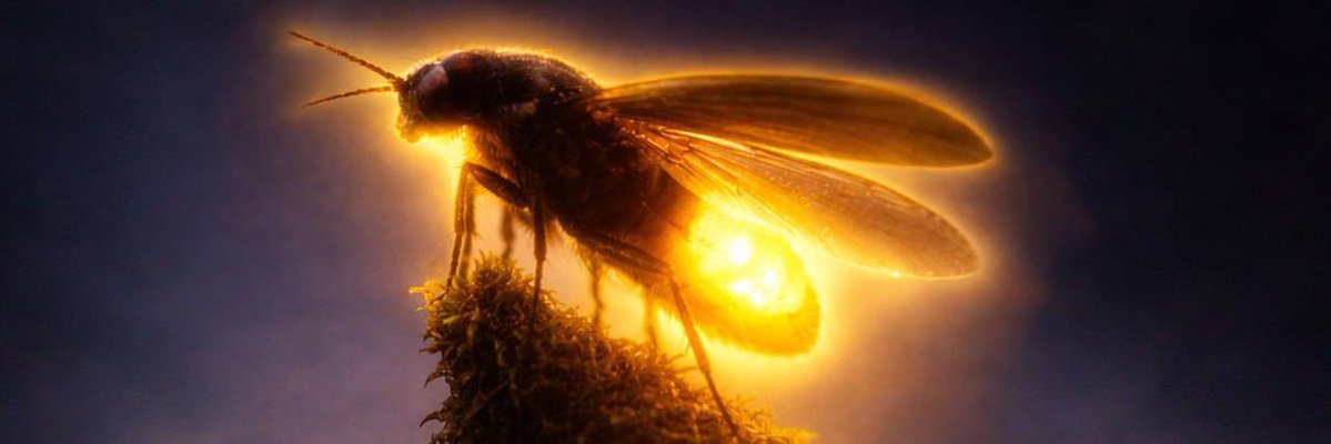 Spaceman tweet media