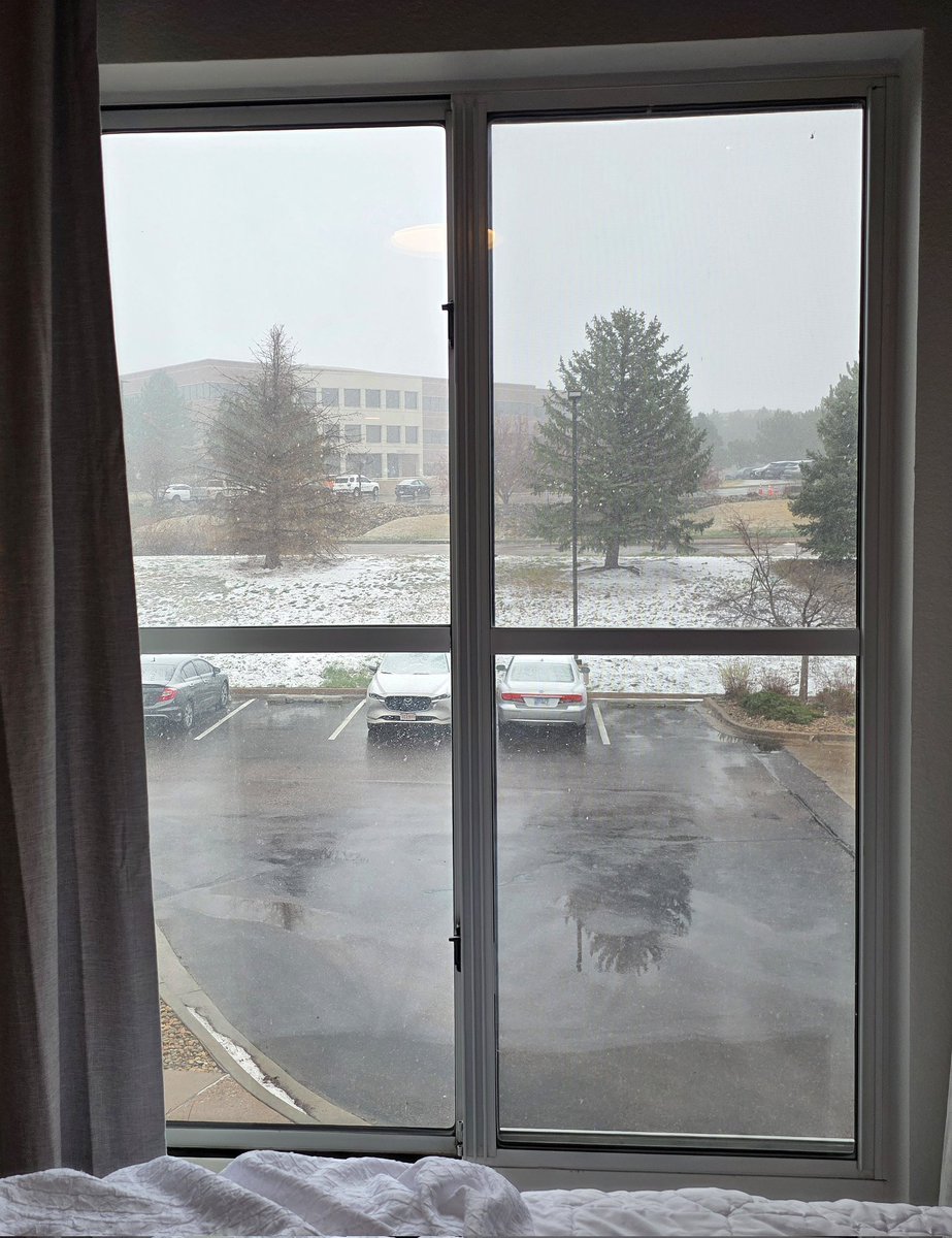 Jenny Fulton tweet media