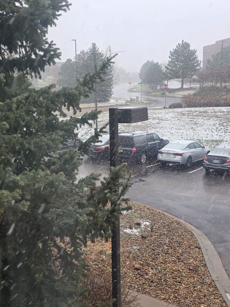 Jenny Fulton tweet media