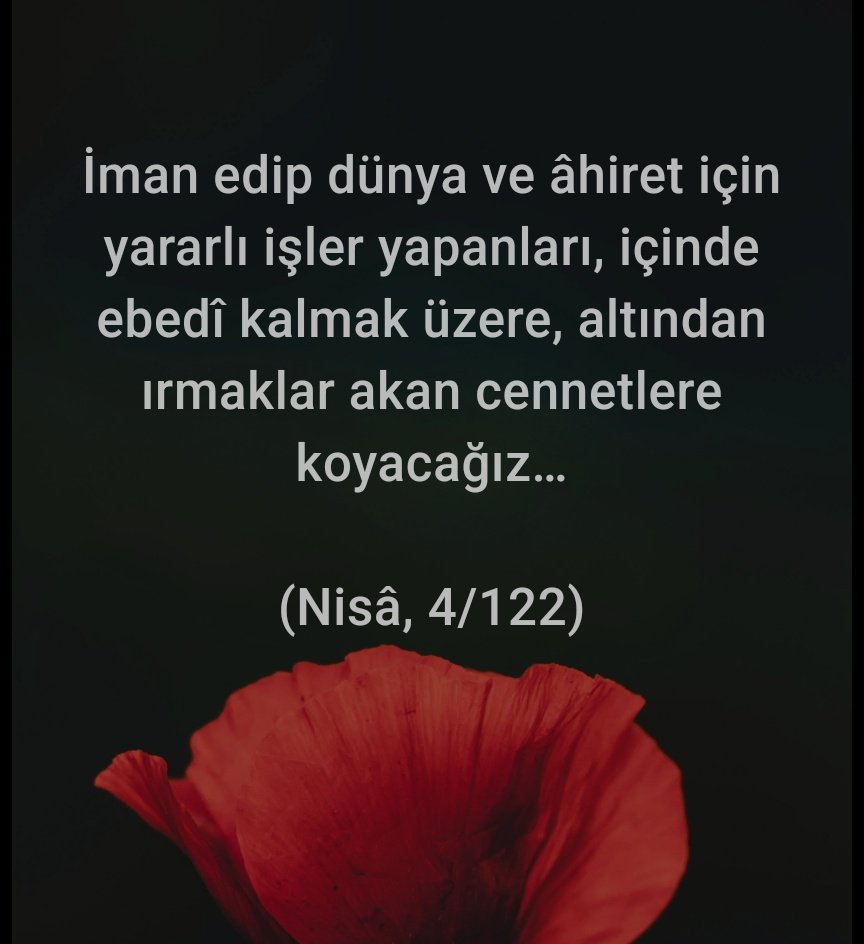 Mehmet Cafer Varol tweet media