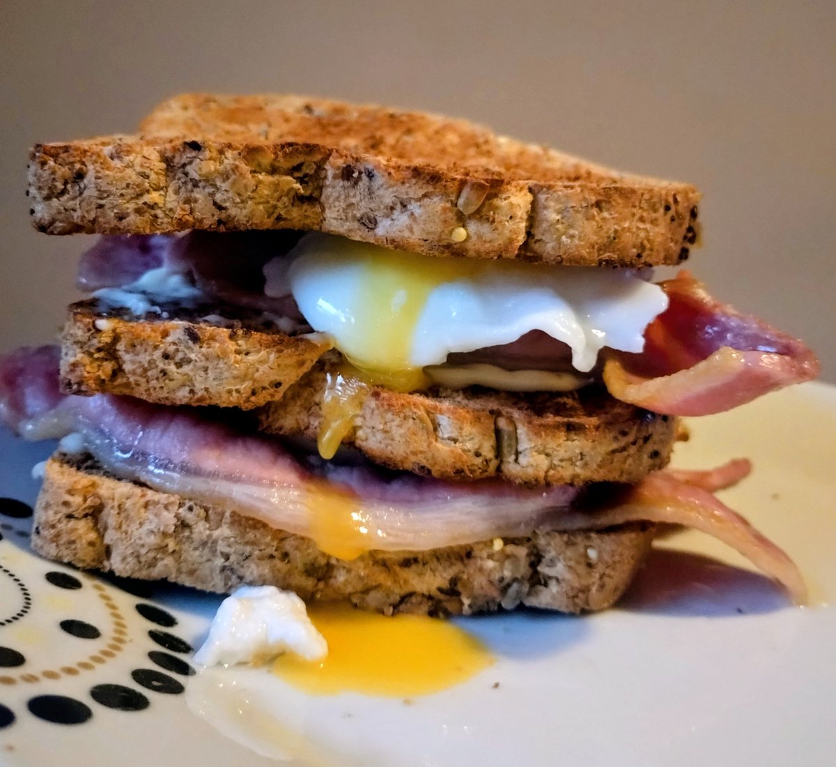 𝐖𝐮𝐫𝐳𝐞𝐥 (𝐒𝐢𝐥𝐥𝐢𝐮𝐬 𝐒𝐨𝐝𝐮𝐬) tweet media