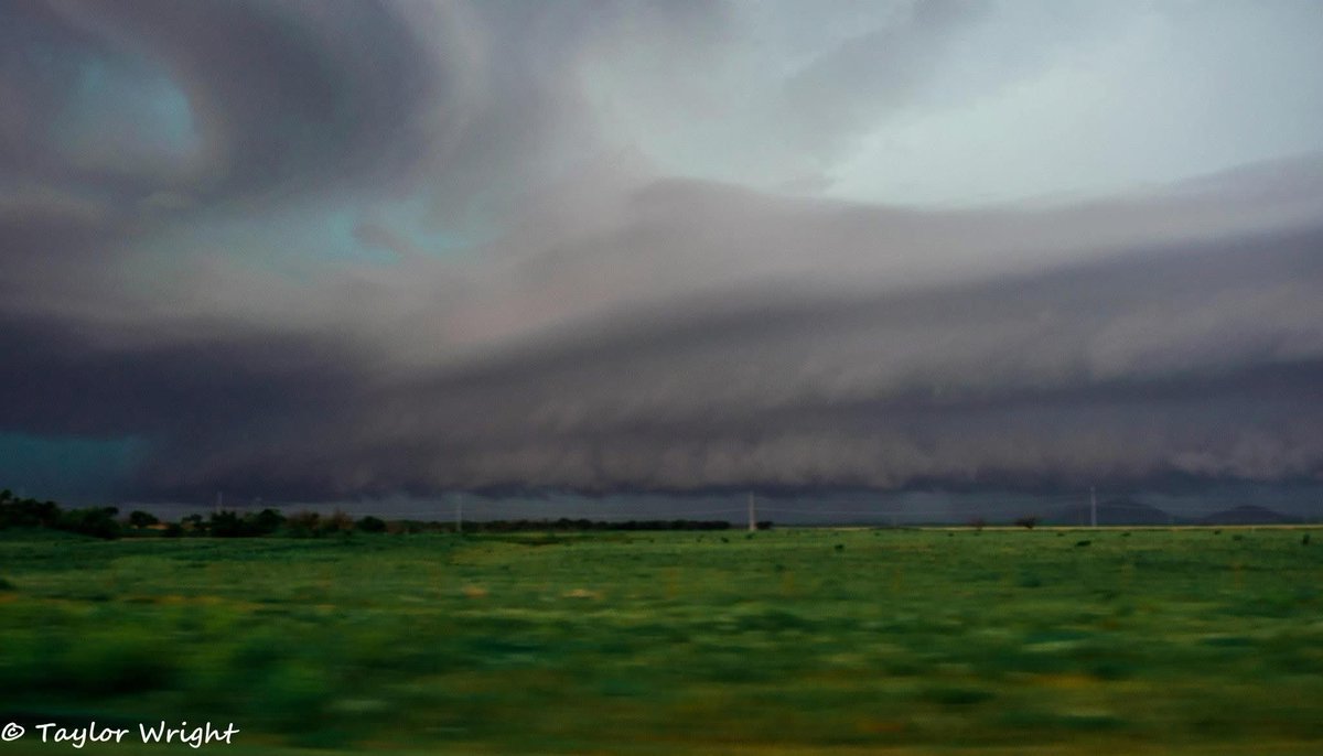 Taylor Wright tweet media