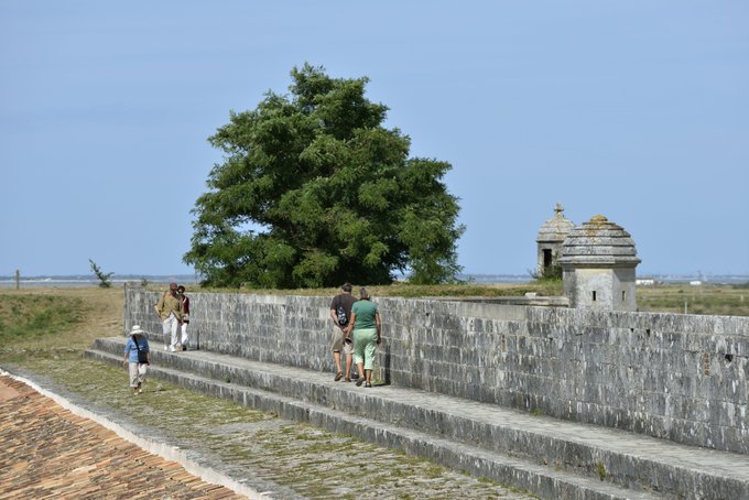 Image de l'actu de Département de la Charente-Maritime