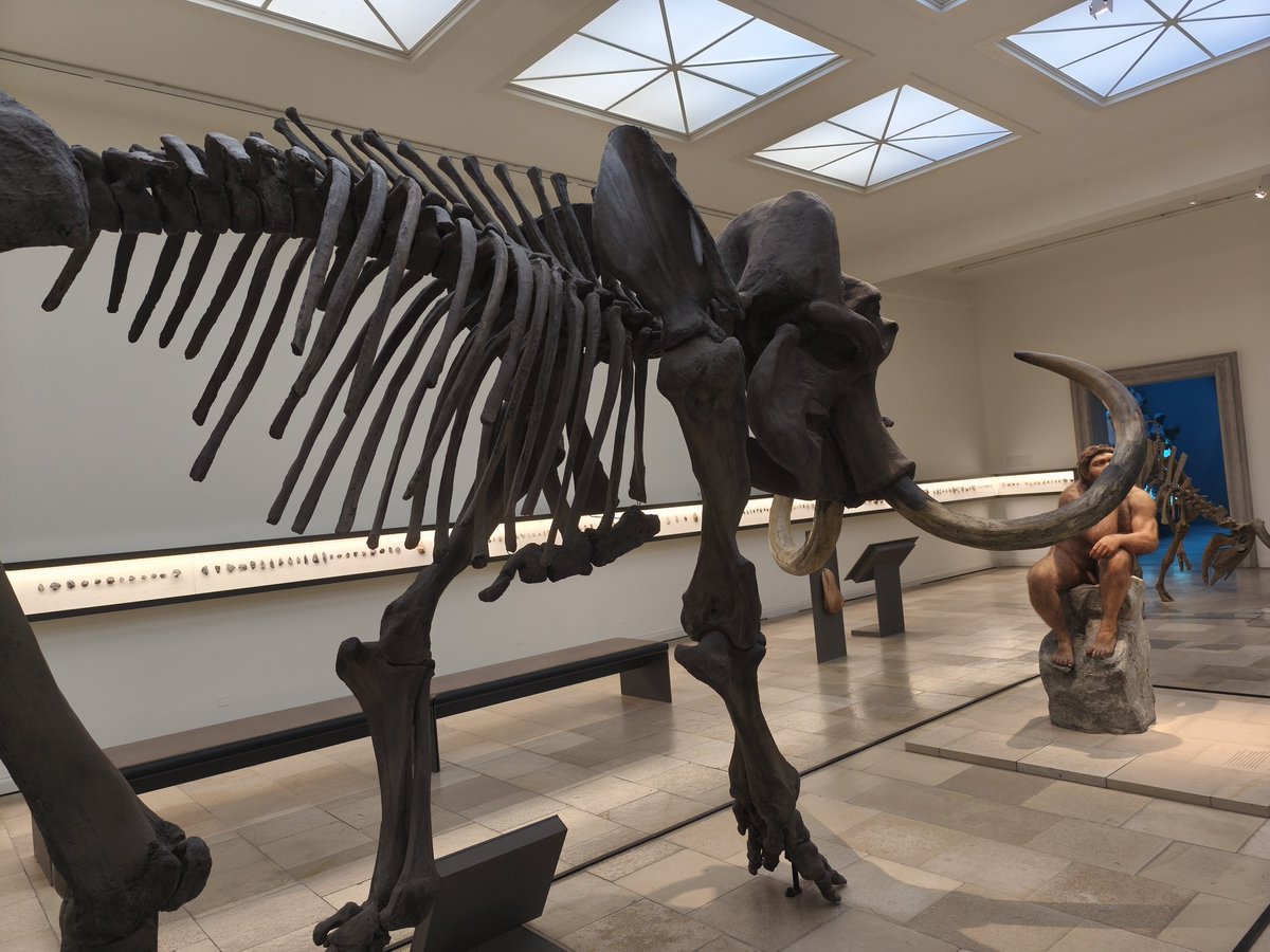 Ganesha 🇩🇪🇮🇳 tweet media