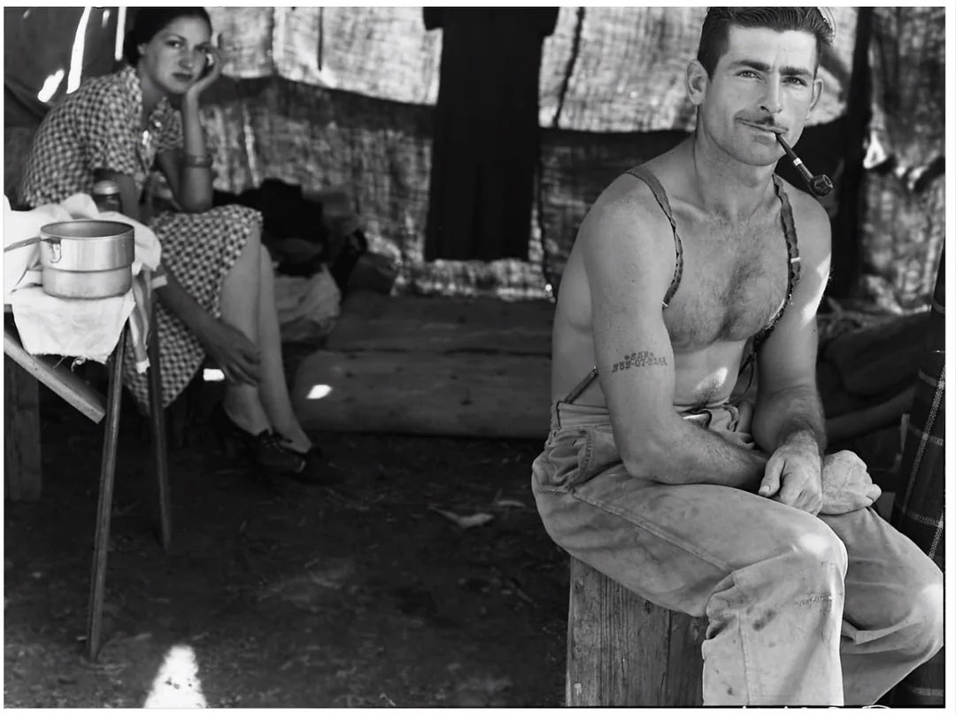 the last pirate tweet media