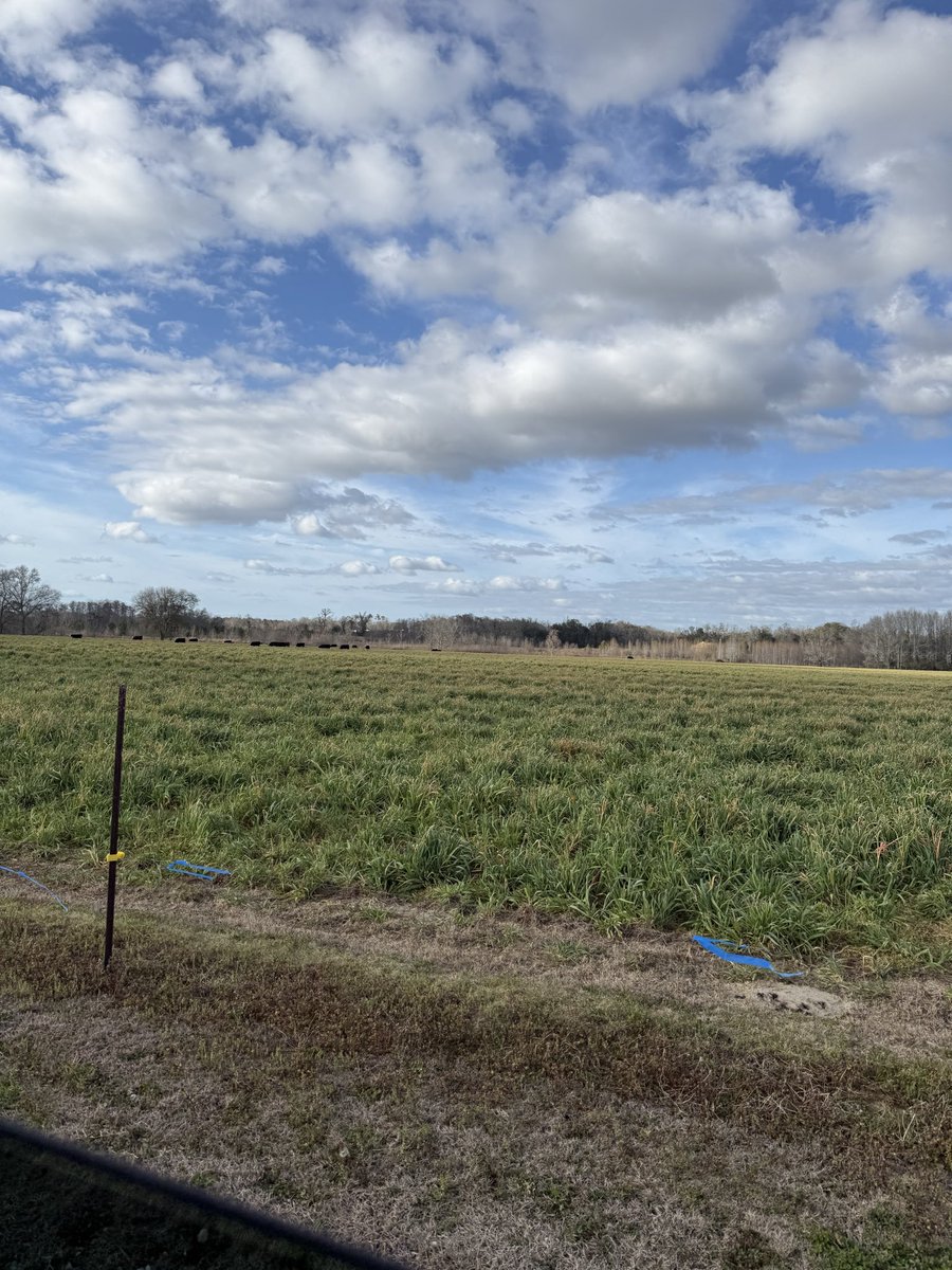 KeithGross's tweet photo. Fertilizer costs are up. Fuel costs are up.

Our farmers here in the Florida panhandle work hard every day to put food on our tables. In Congress I will work to ensure they can run a profitable operation.

Food security is national security. https://t.co/pSh5Gd68HO