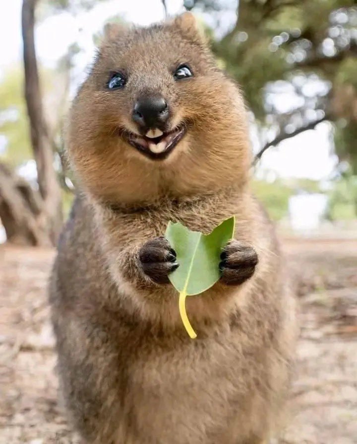 47 (ysx.tw) tweet media