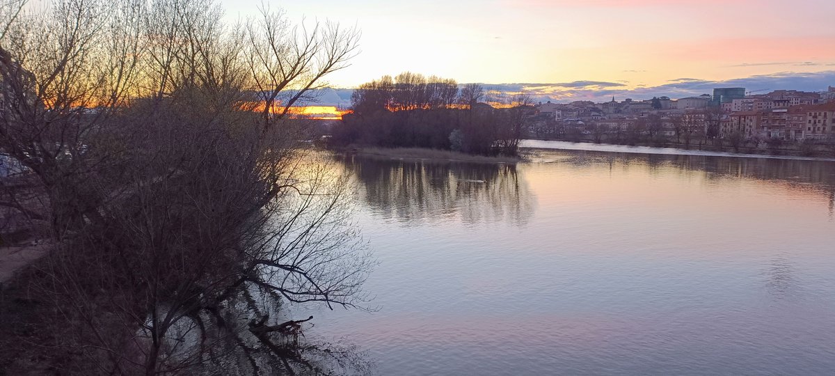 Antonio Escuadra Manso tweet media