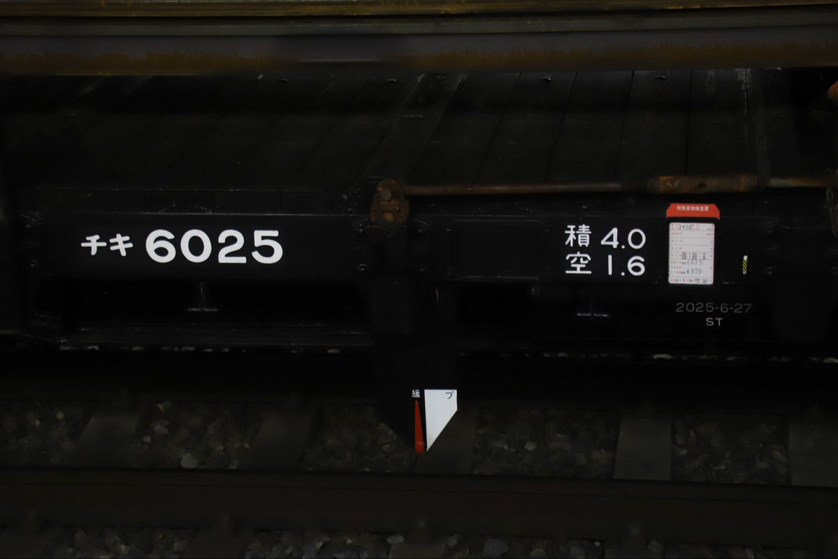 西のカモレ tweet media