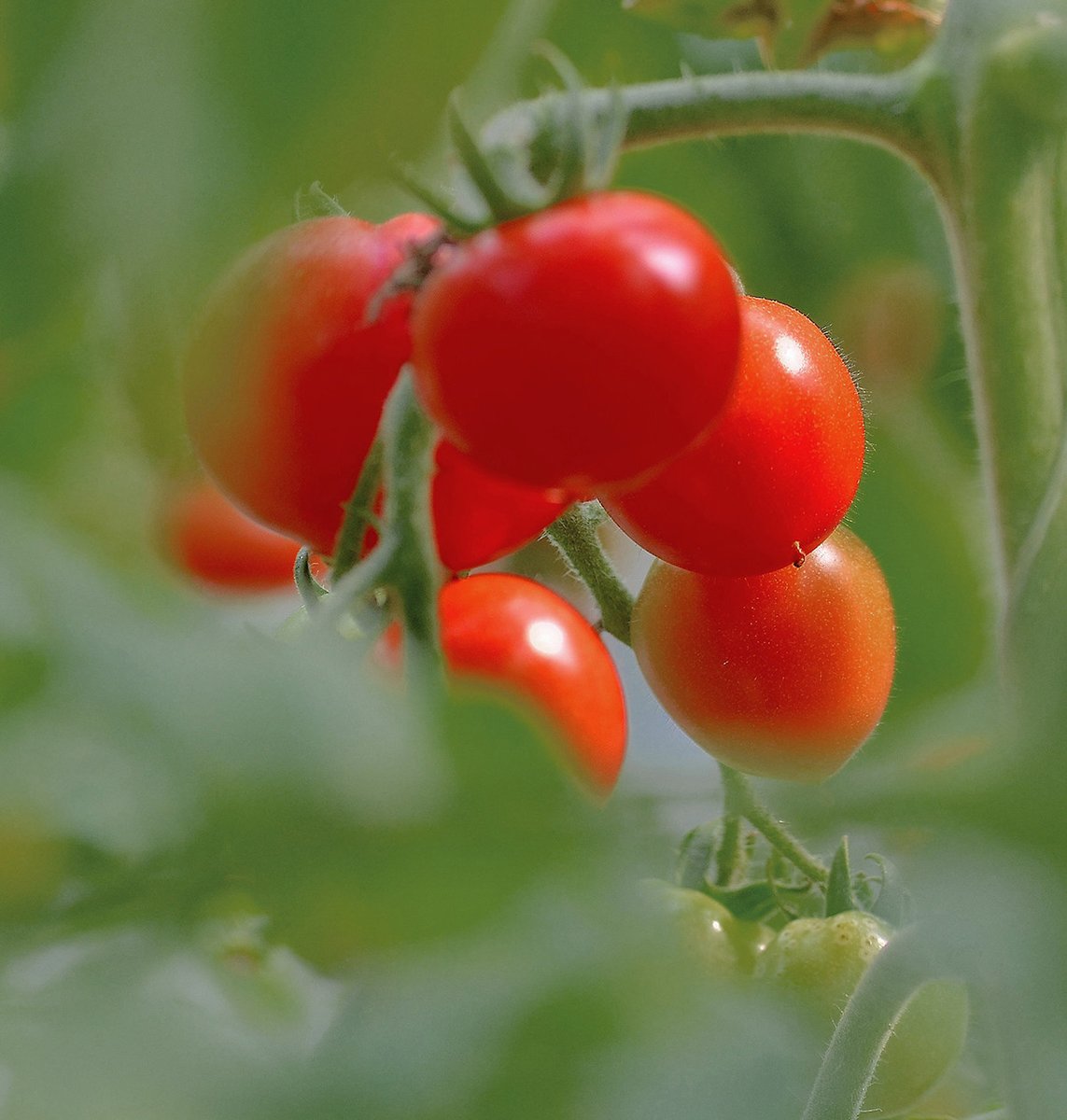 Ivann Robert tweet media