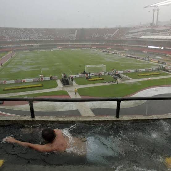 carol⁷ 🪭 ⊙⊝⊜ tweet media