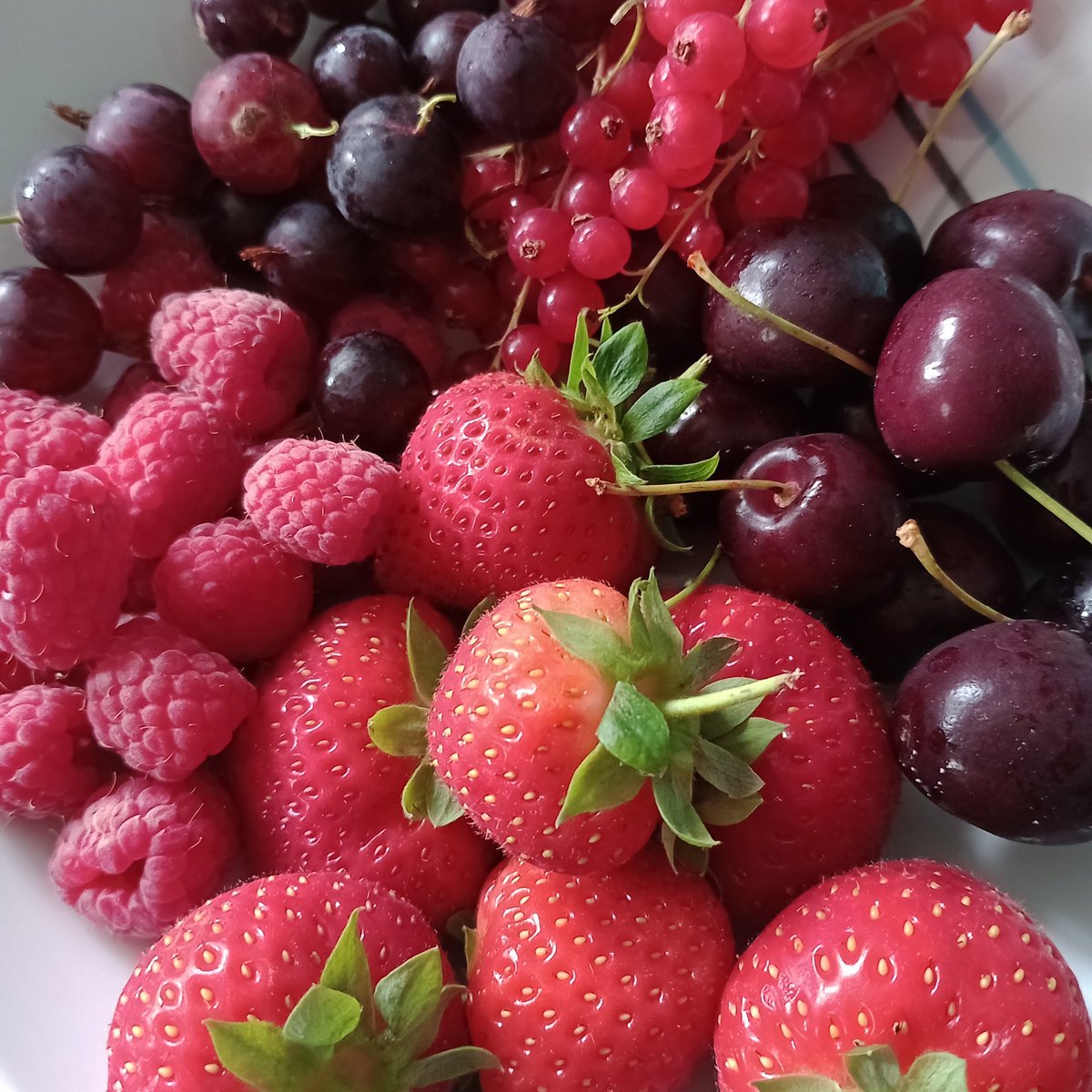We're looking for a new member of our team. We'd like someone who could work  2/3 days a week, including some weekends in our farm shop from May to Sept/ October. Need to be physically fit as some lifting will be involved. Please email goachersfruit@gmail.com or send me a DM.