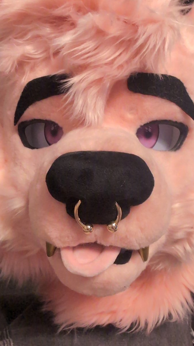 Shwabadi tweet media