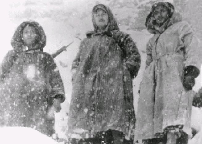 Algerian Military History 🇩🇿 tweet media