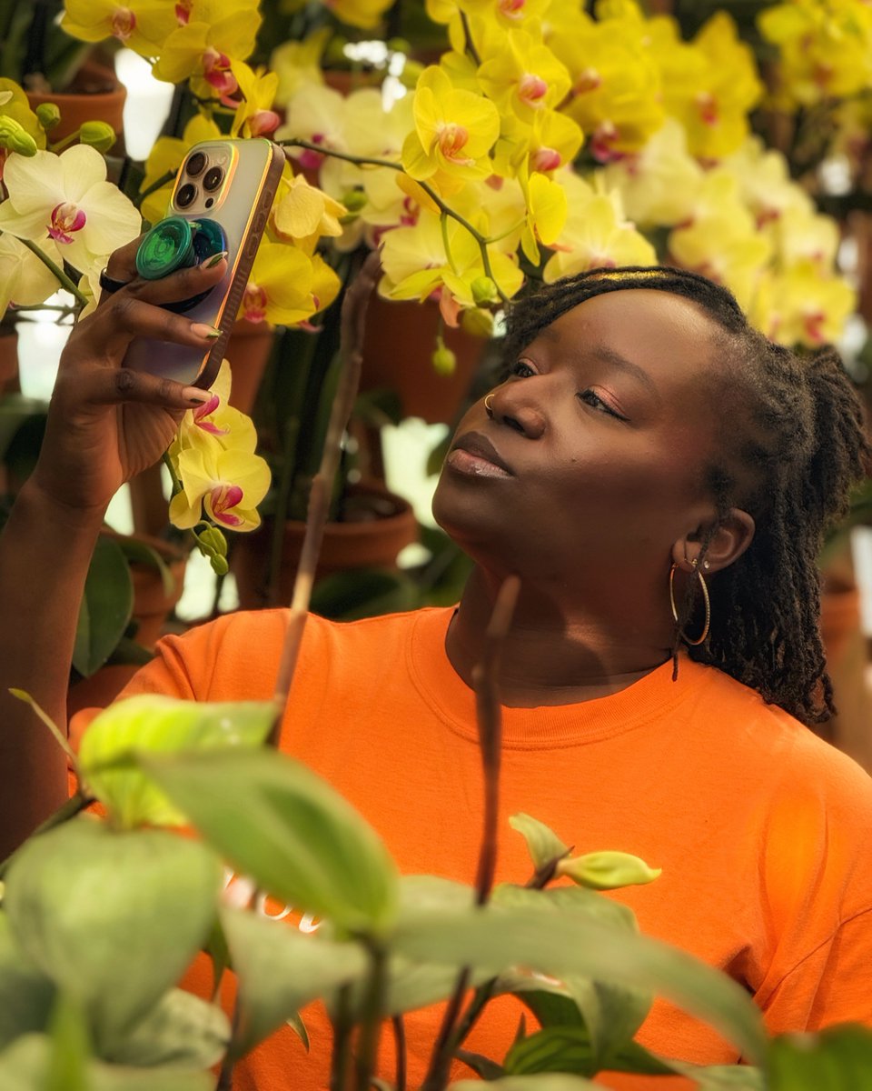 The Prime Menaceter tweet media