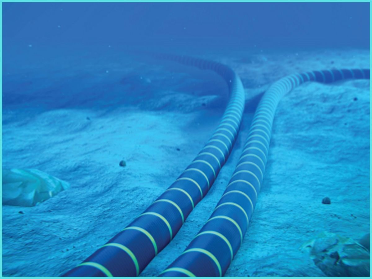 محمد کاظم اکبری tweet media