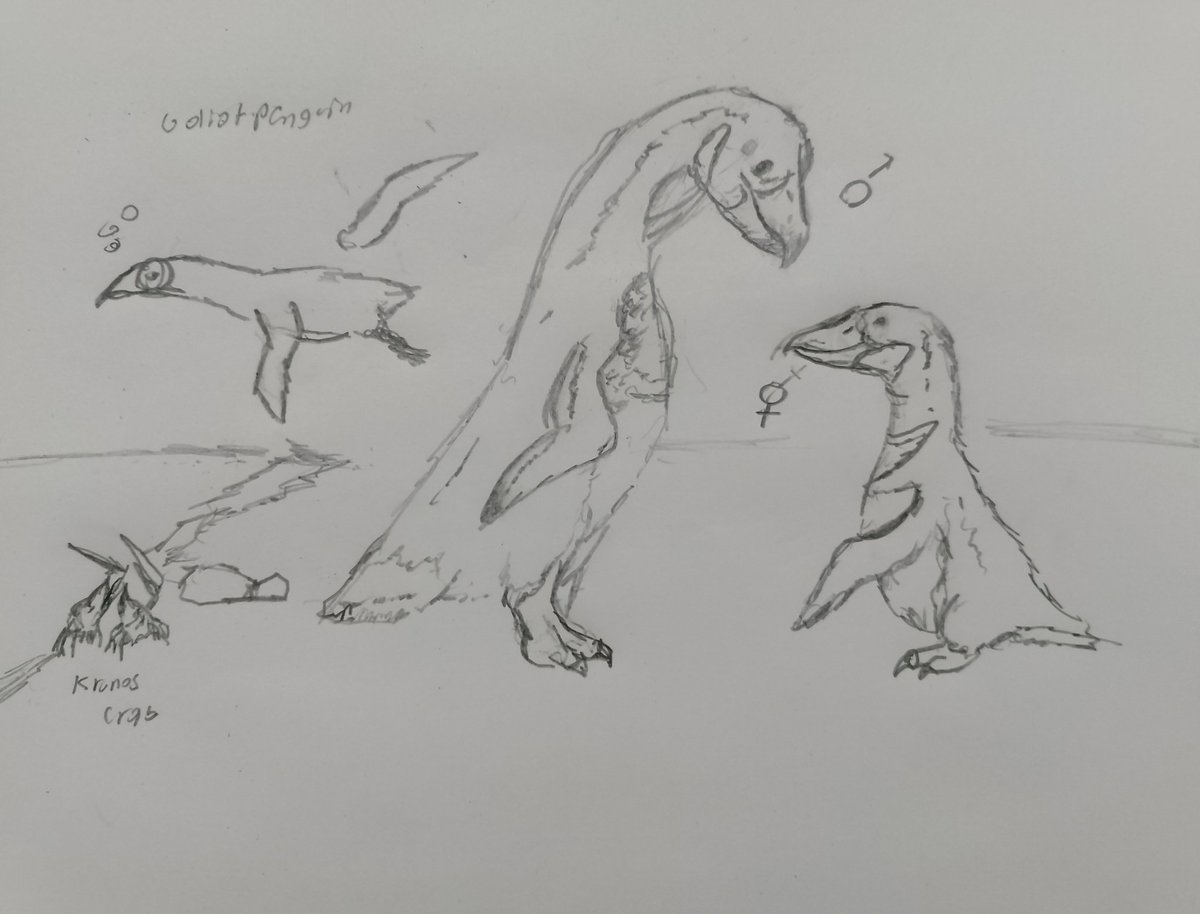 🇲🇽ゴジラ raz godzillaゴジラ🇲🇽 tweet media