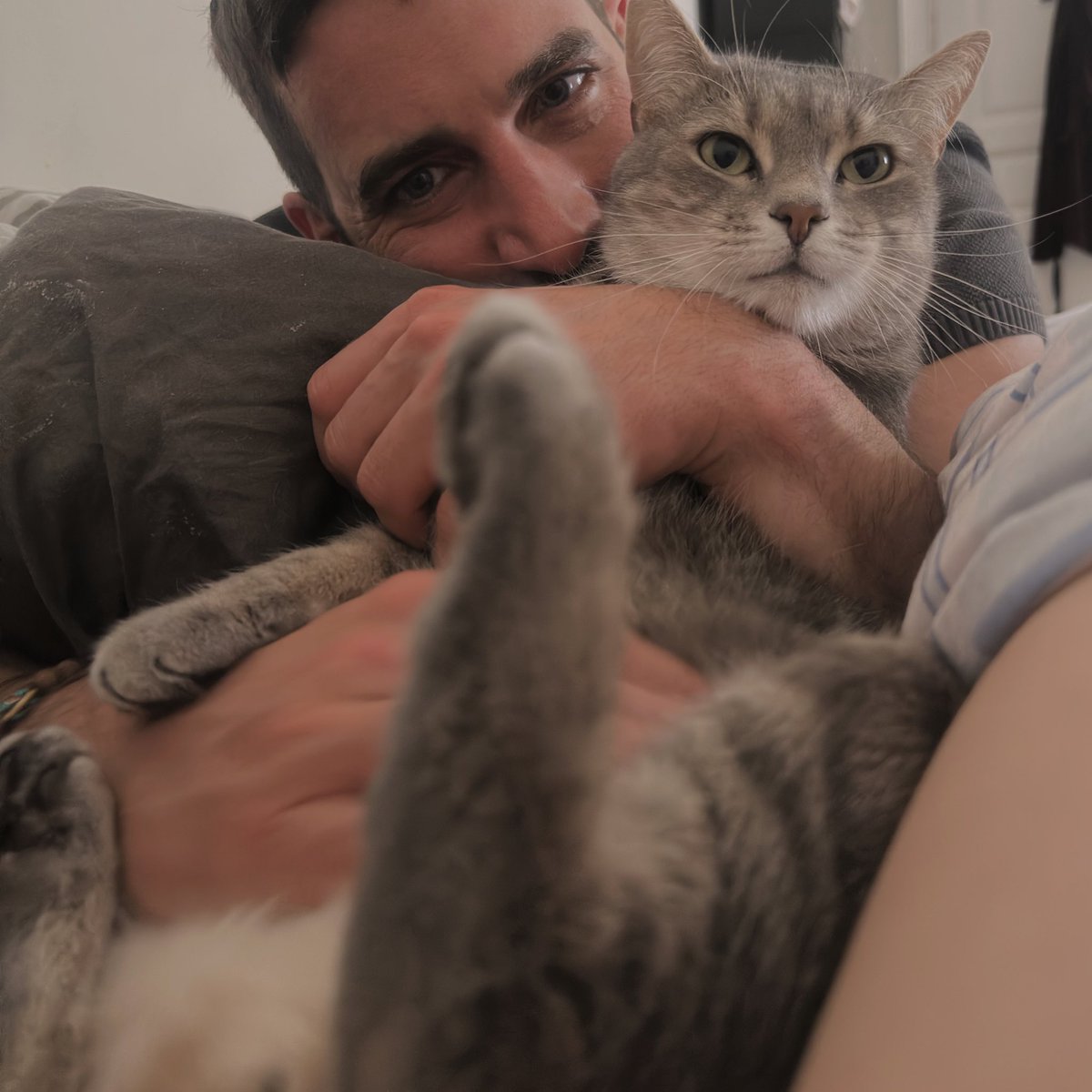 Bradley Cooner tweet media