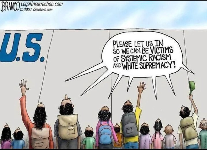 Trigger Elon tweet media