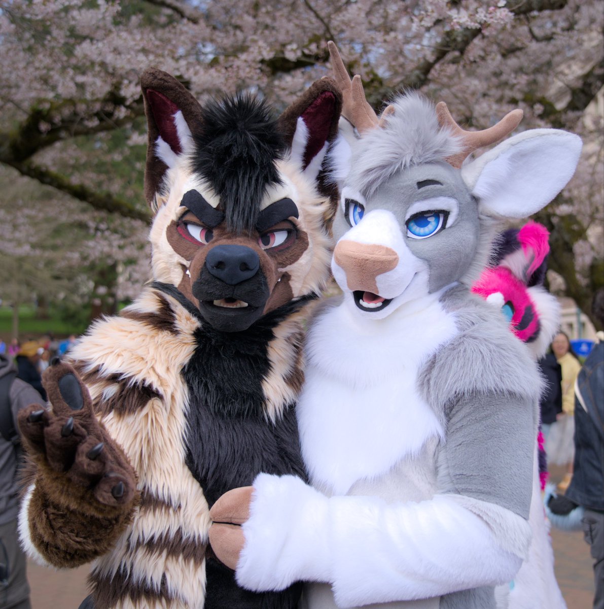 Damon Yeen 🥩 tweet media