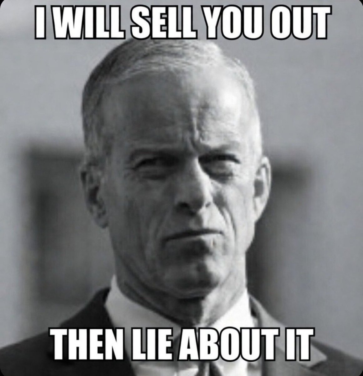 Texagchick's tweet photo. @LeaderJohnThune  latest stunt will cost all of you dearly. It would've only taken five senators to remove him and the @SenateGOP didn't do it. That is on YOU !!! All of you are weak cowards. We have watched the Democrats when they have a majority bulldoze their agenda through with the help of GOP RINOS. What do all you do with a majority.....you REWARDED them for using American citizens paychecks as blackmail, you were REWARDED them shutting down the government making our country unsafe and now they're NEVER gonna stop doing it. All of you need to be removed. NONE of you represent the people that voted for you and it's sickening.