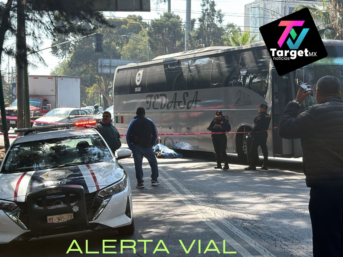 TargetMXNoticias tweet media