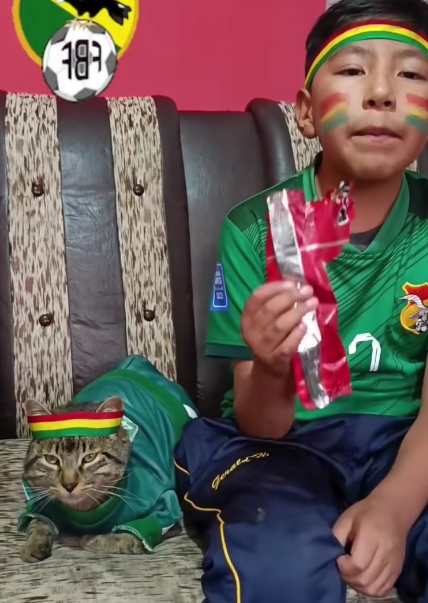 El gato con cara de "era esto o la calle"  JAJAJAJ