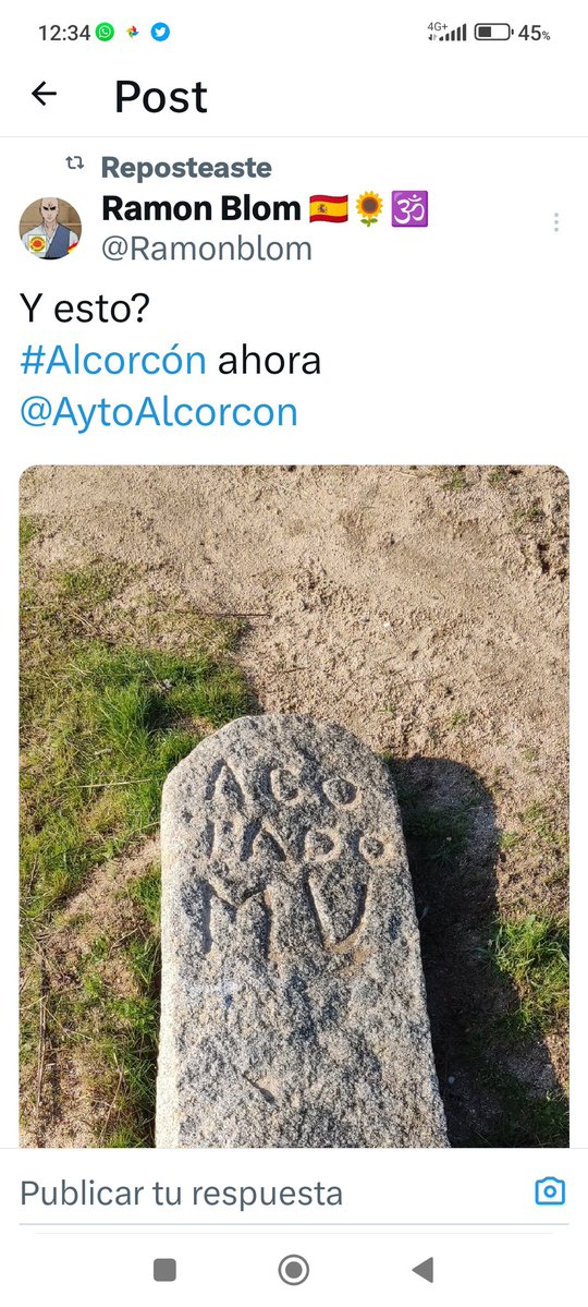 Ramon Blom 🇪🇸🌻🕉️ tweet media