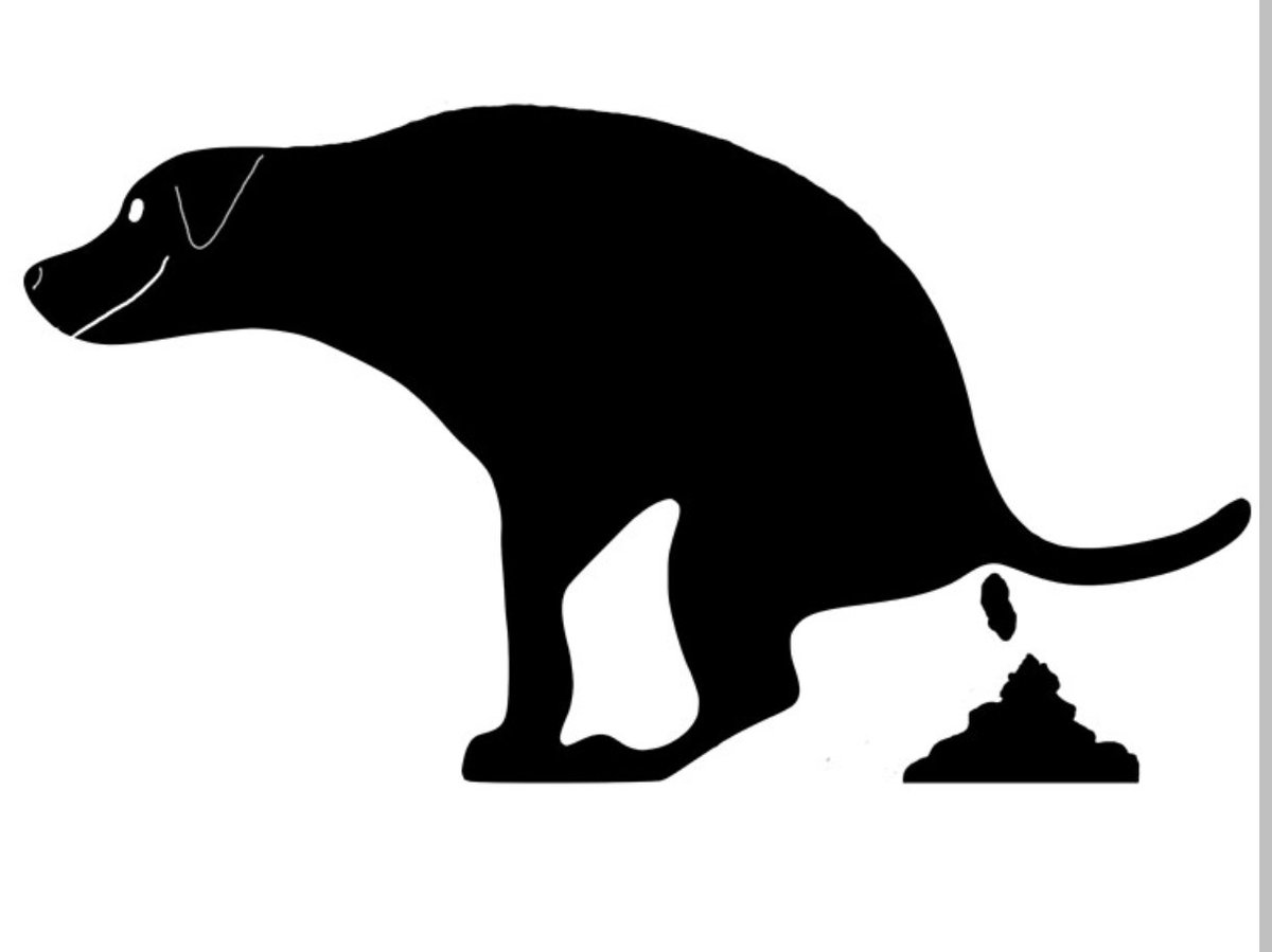 Le Chien Noir tweet media