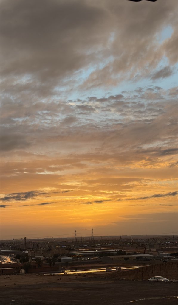 𐙚⋆°🦢｡⋆♡ tweet media