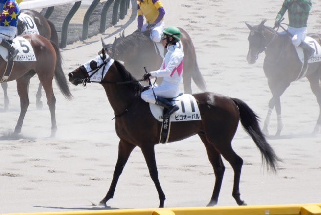 ピコレーシング tweet media