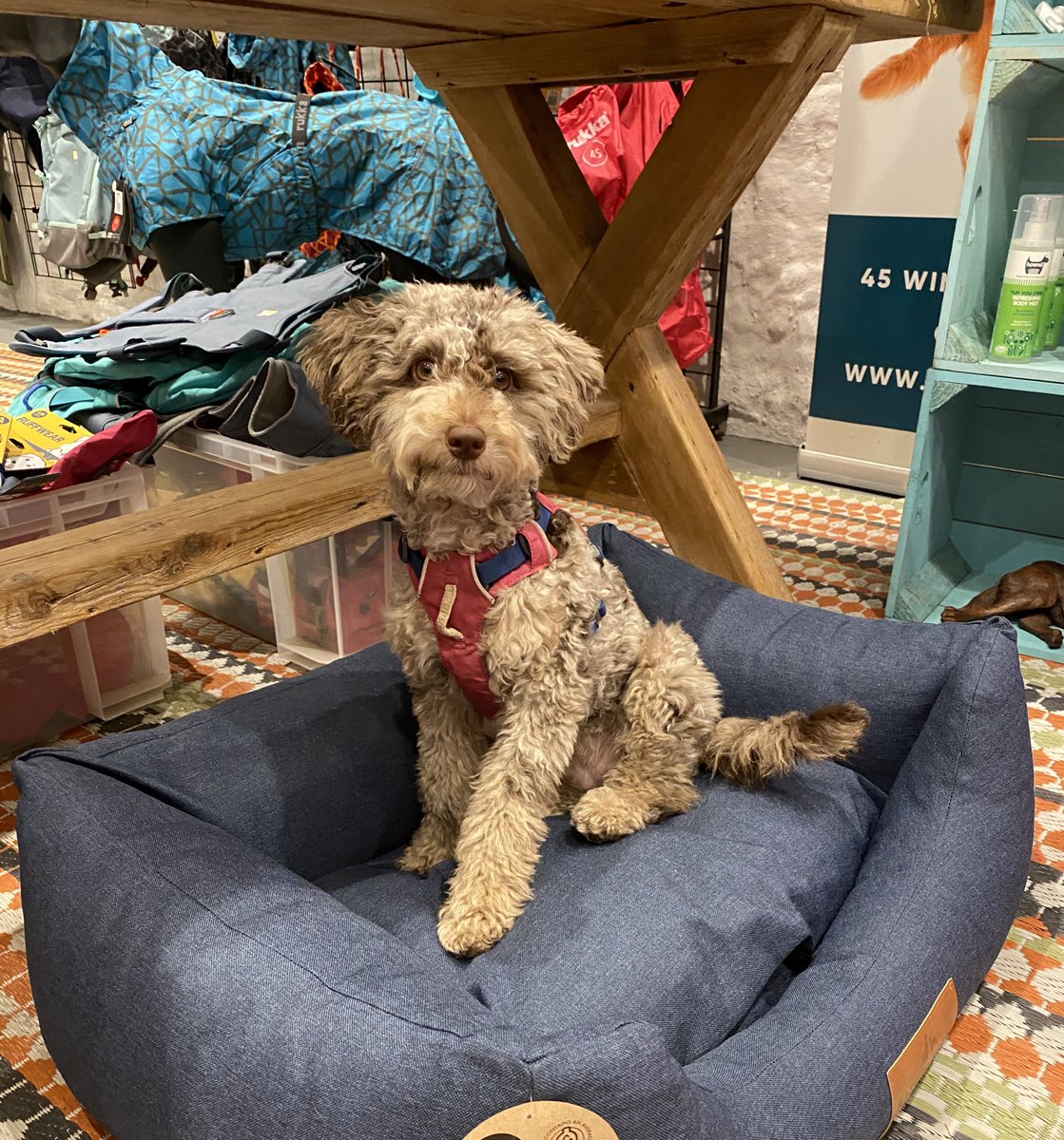 BeMoreBob tweet media